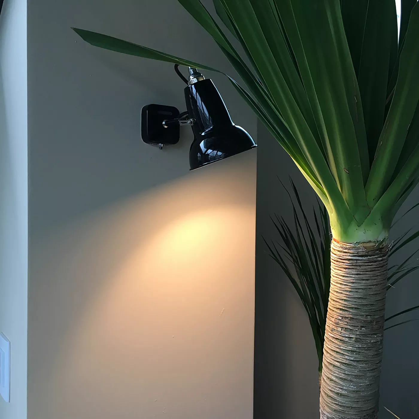 Anglepoise Original 1227 Mini – Lámpara de pared — imagen 4