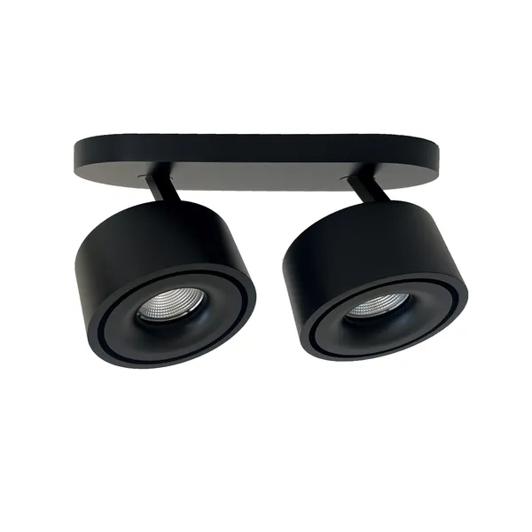 Easy Braccio W2100 Lámpara de Techo Negro