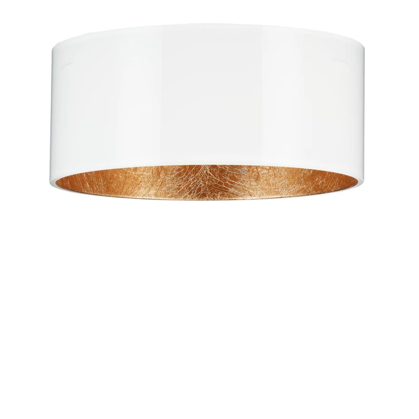Bruck Ersatzglas zu Silva 85 — imagen 2