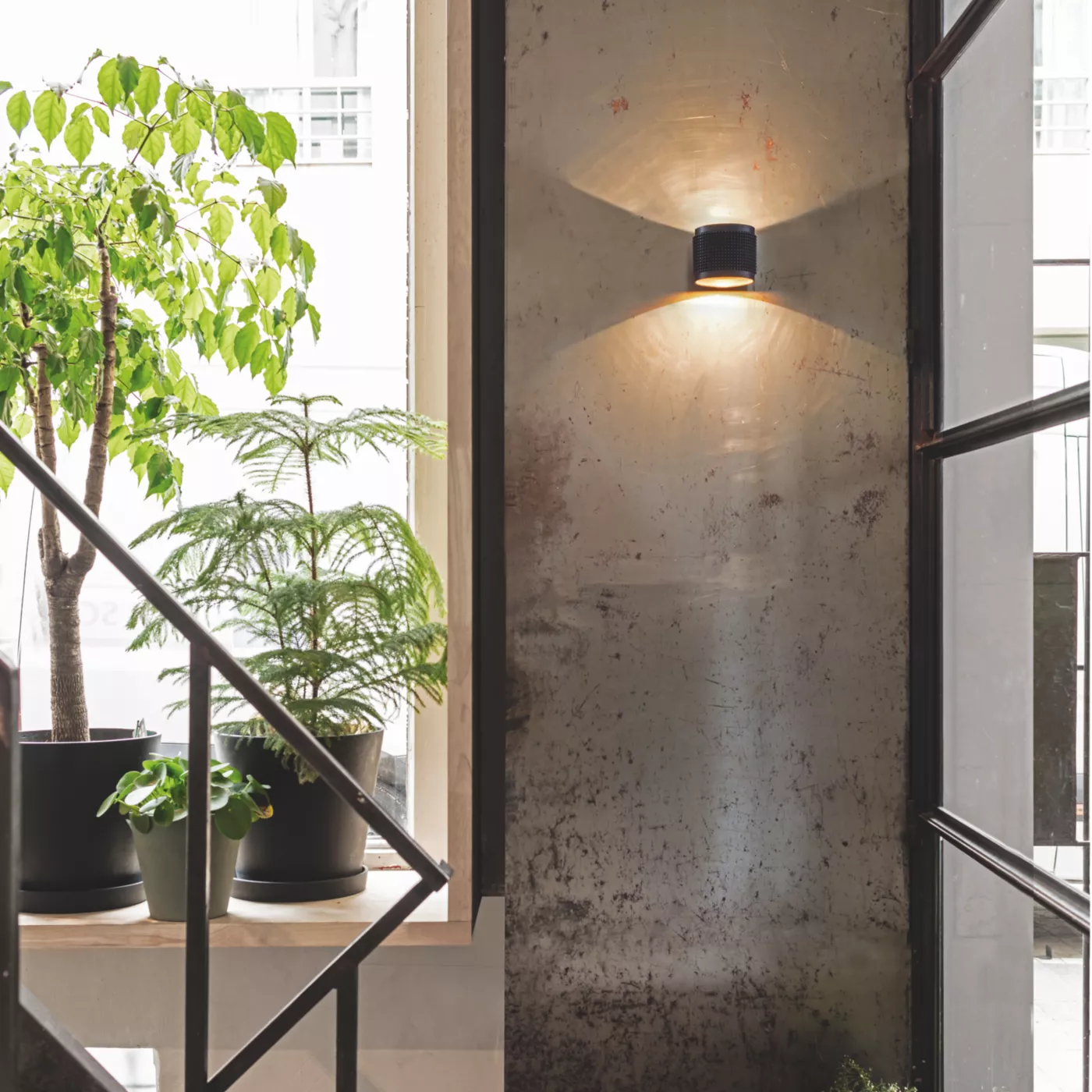 Delta Light Orbit Punk, negro/dorado – Lámpara de pared led — imagen 4