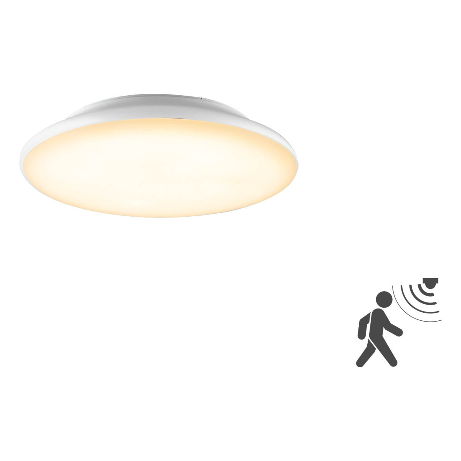 EVN Catino Led , detector de movimiento – Plafón — imagen 3