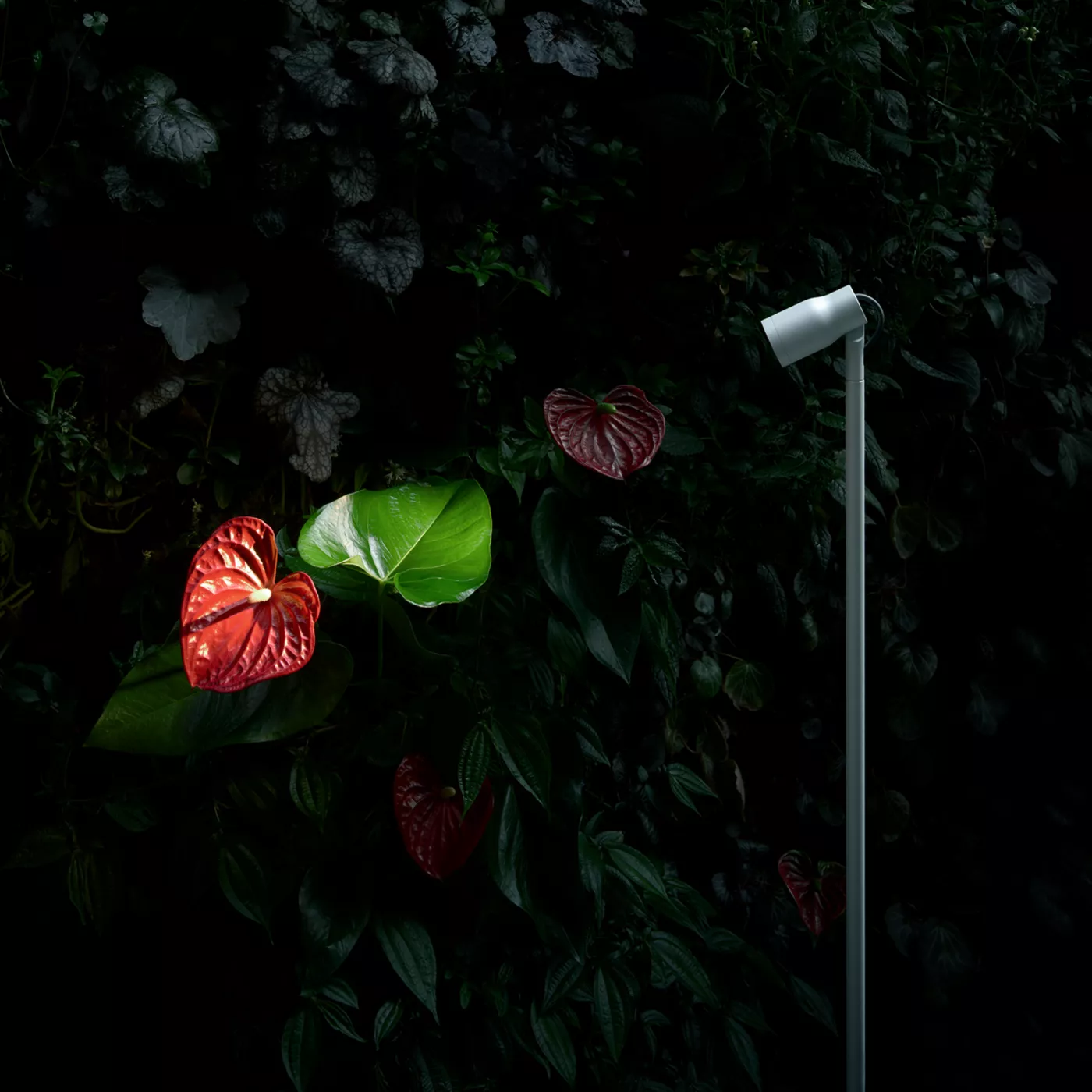Flos Landlord Spot 60 cm Led — imagen 5