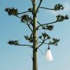 Flos Mayday Outdoor — imagen 8