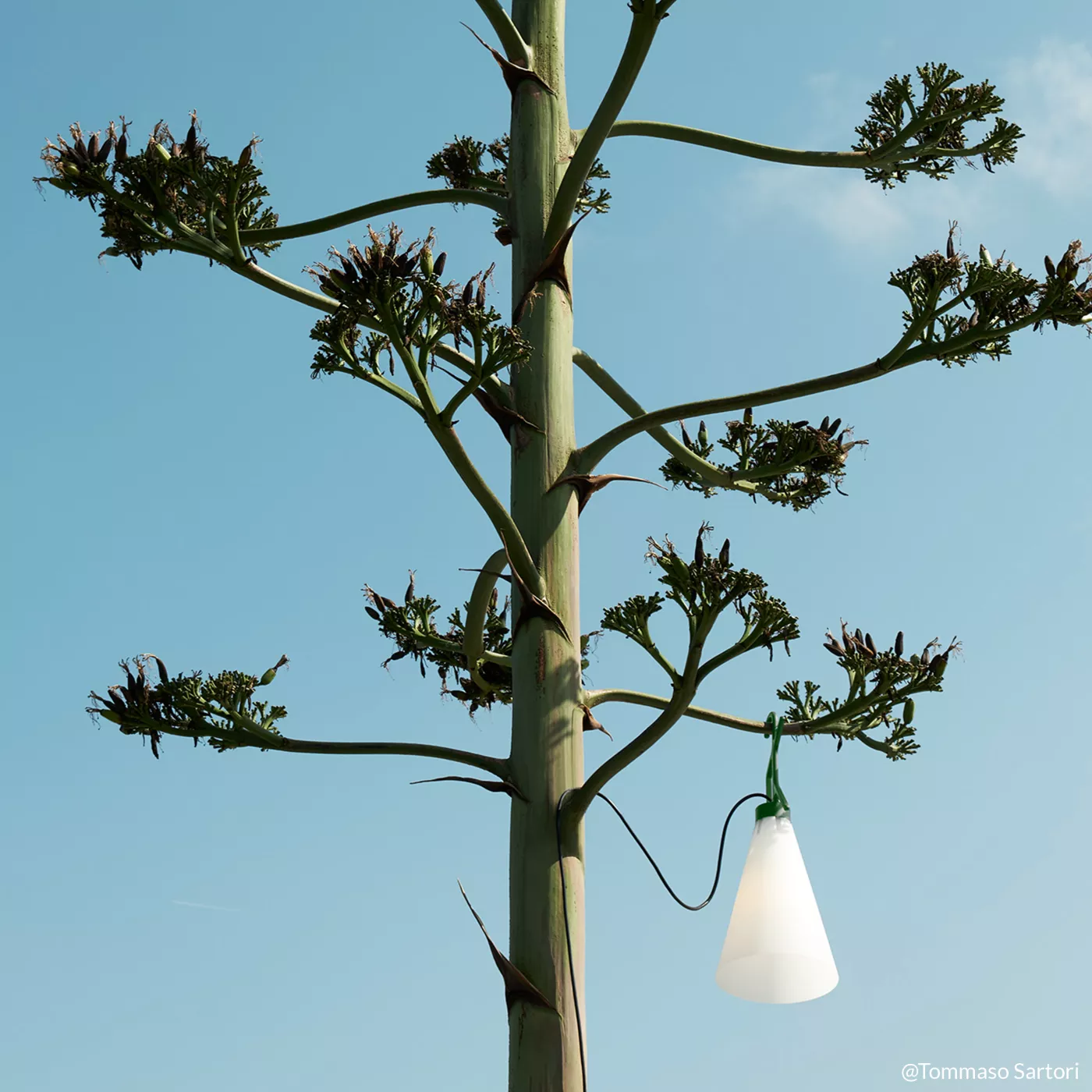 Flos Mayday Outdoor verde — imagen 5