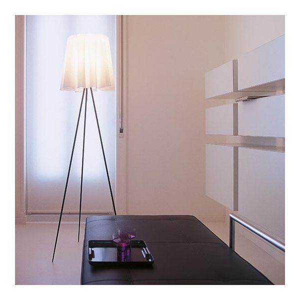 Flos Rosy Angelis — imagen 3