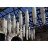 Foscarini Havana Susp — imagen 8
