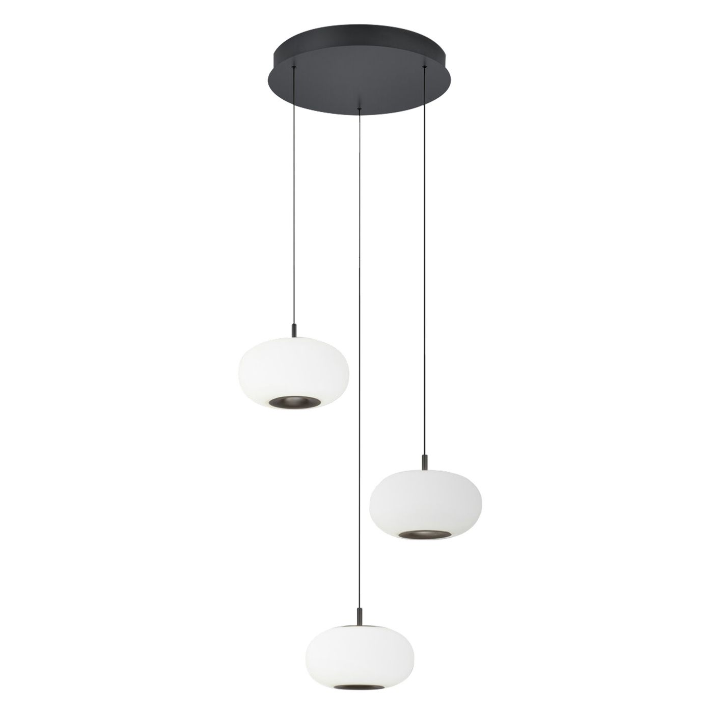 Helestra Sapo, lámpara de suspensión LED Cluster