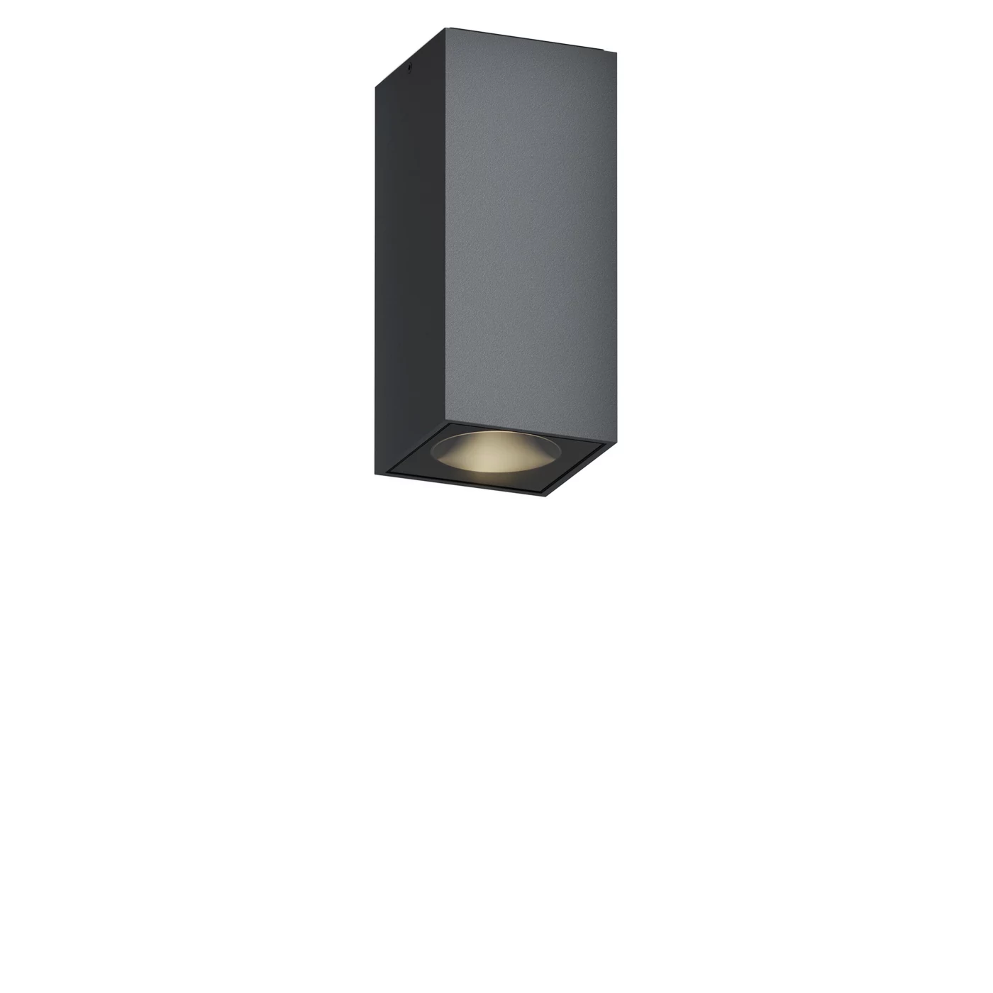 IP44.DE Down.3, S antracita - Dali – Lámpara de techo led — imagen 3