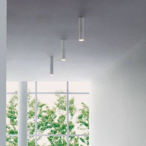 Lodes A-Tube C Mini — imagen 2