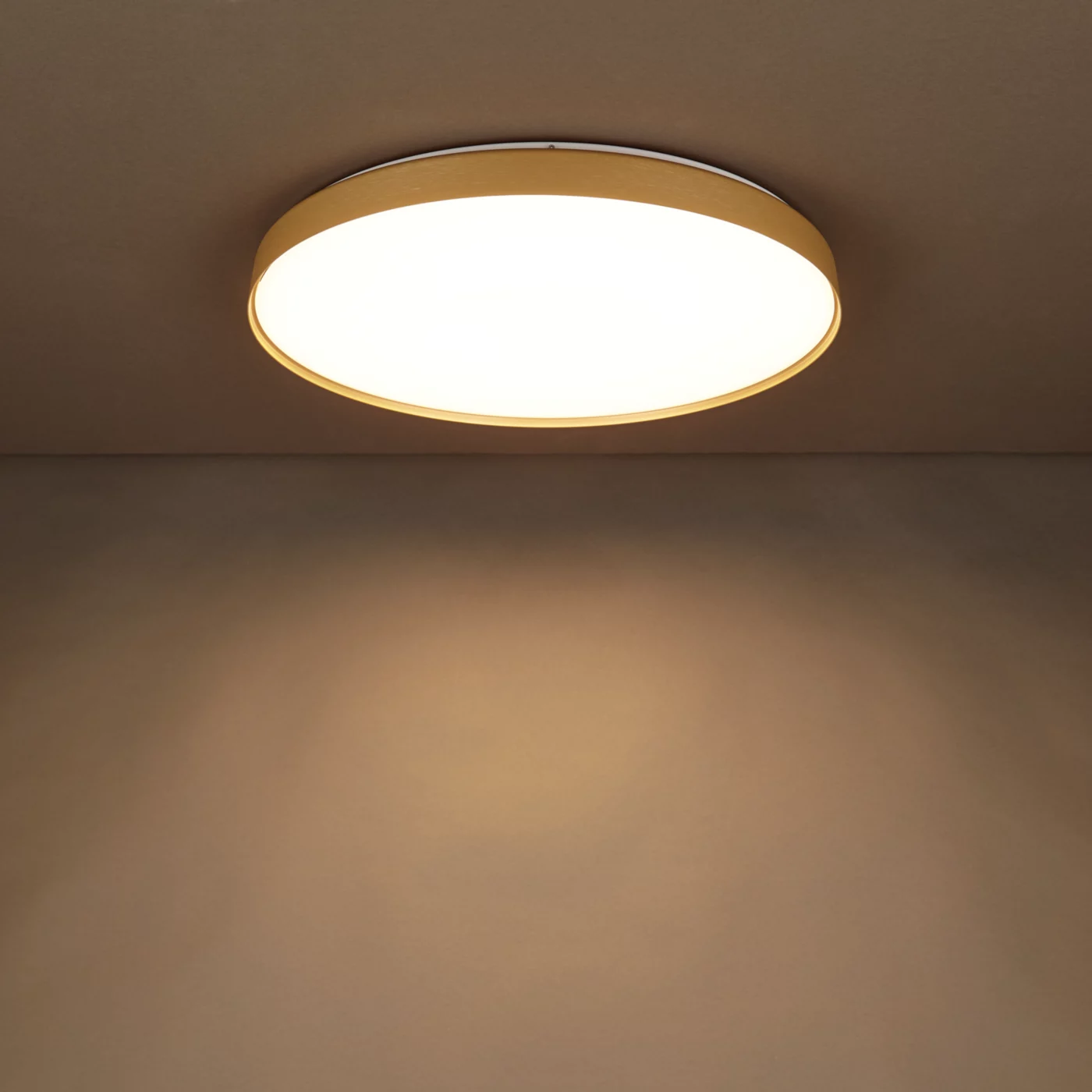 Luceplan Compendium Plate Parete/Soffitto Led negro — imagen 8