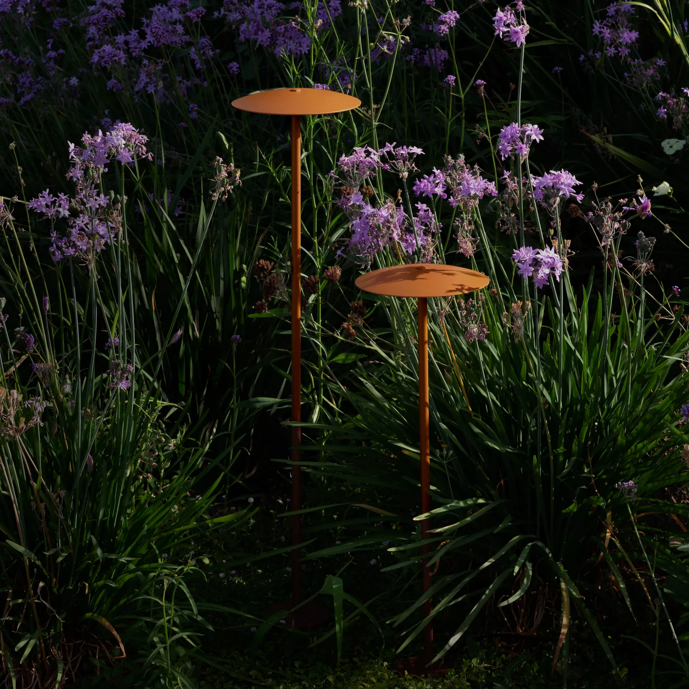 Marset Ginger, sobremuro Led — imagen 4