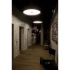 Marset Soho C57 Led — imagen 8