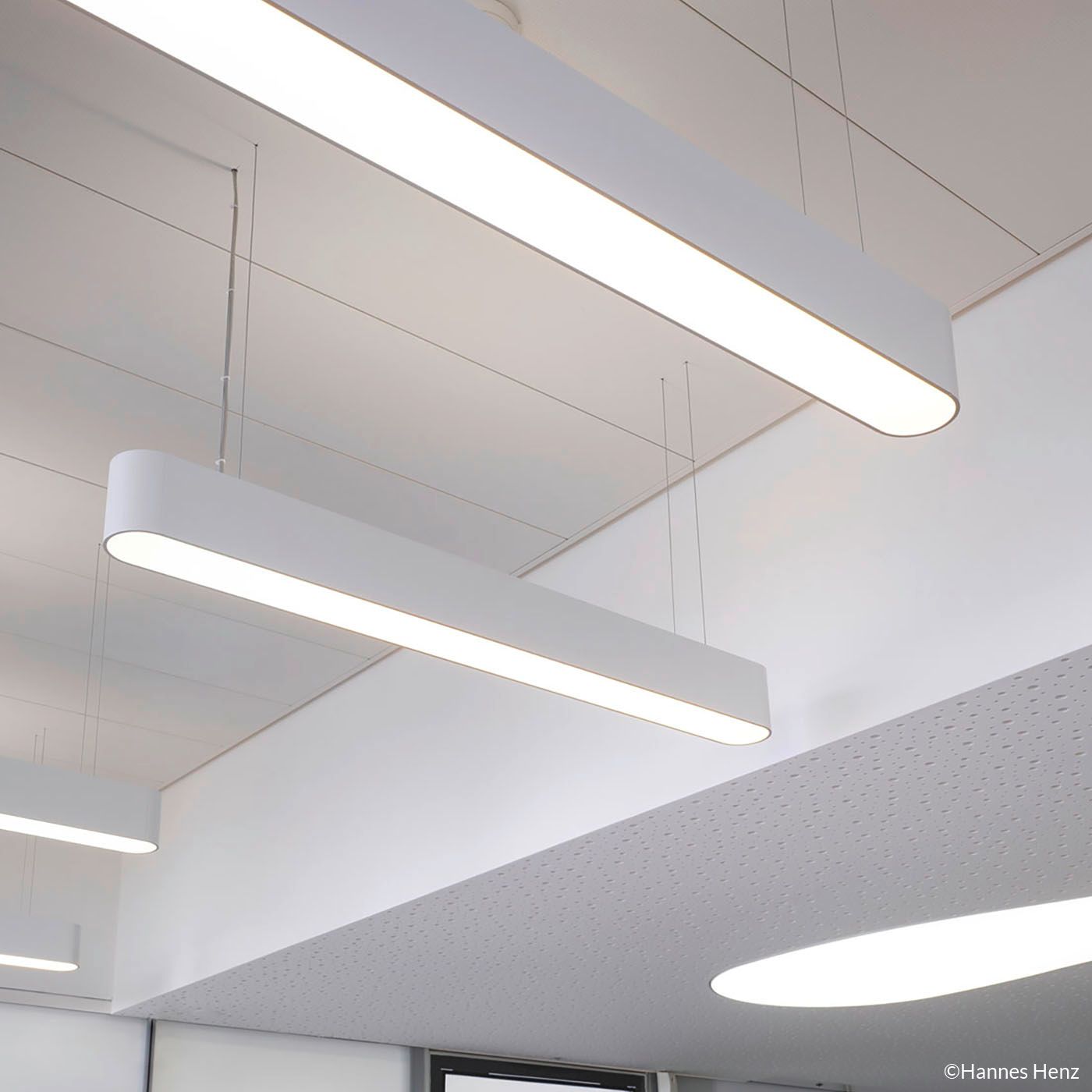 Mawa Oval Office 5 Led – Lámpara de suspensión — imagen 5