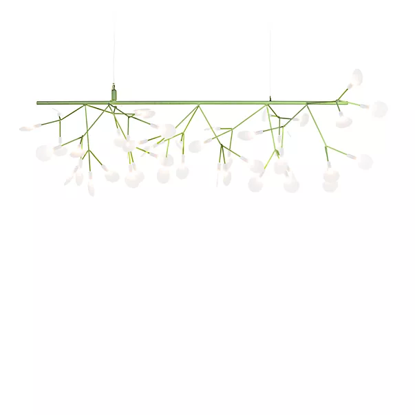 Moooi Heracleum Endless, lámpara de suspensión LED