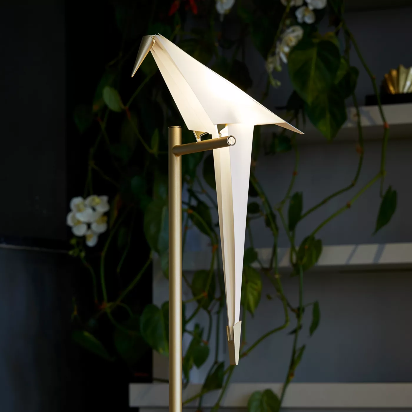 Moooi Perch Light Table Led — imagen 4