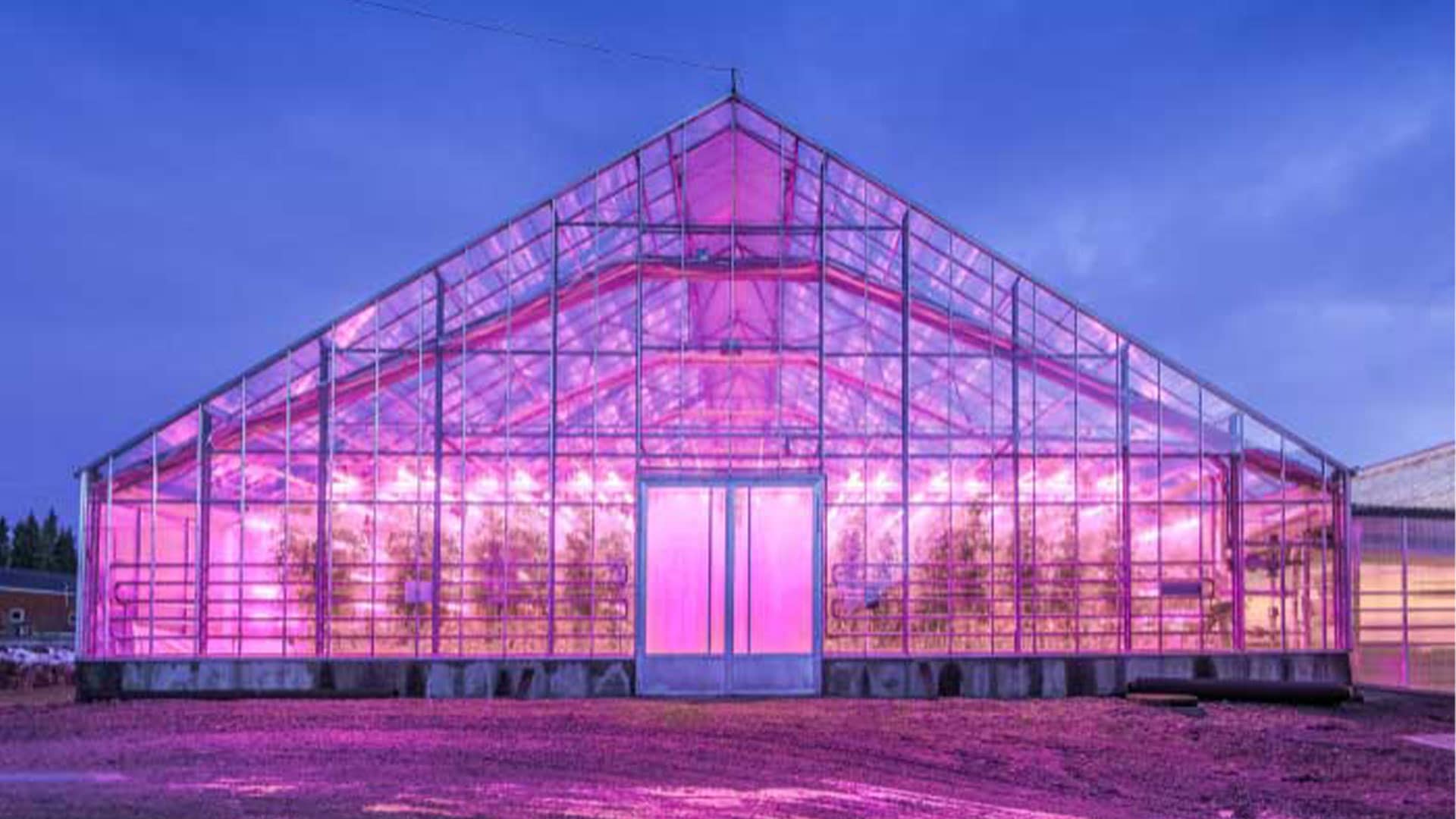 Philips Greenhouse aplique solar