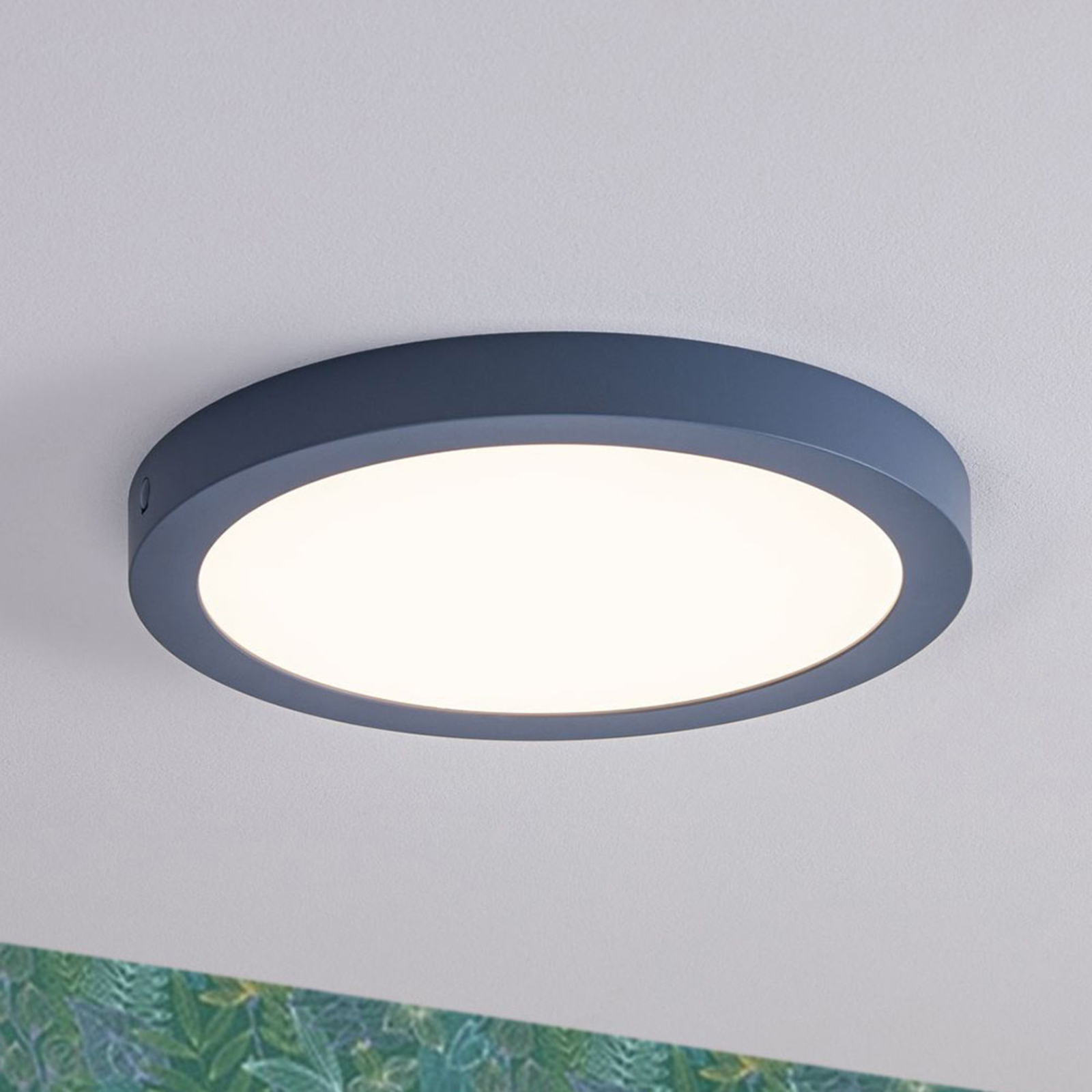 Paulmann Abia panel Led Ø 30cm 2.700K — imagen 3
