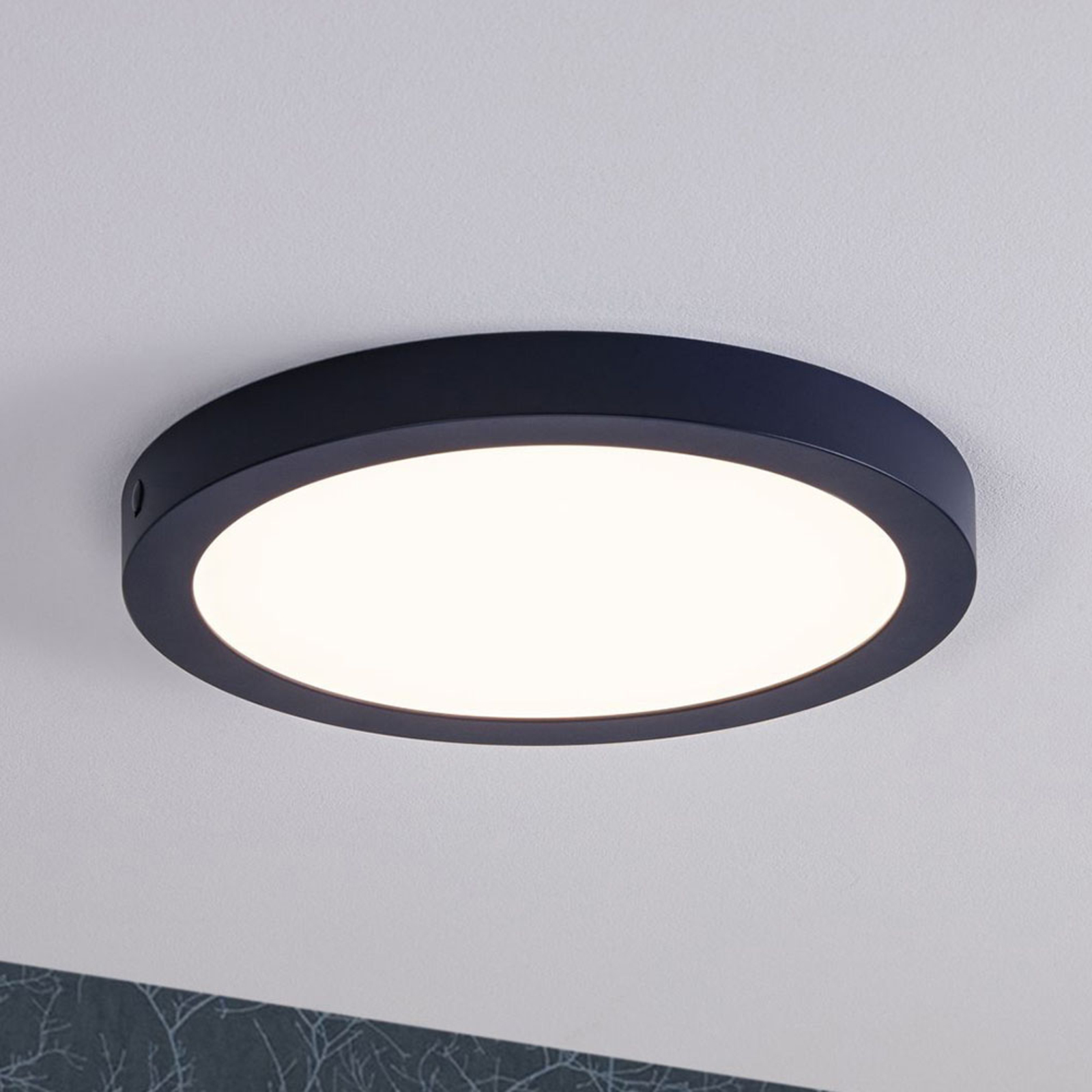 Paulmann Abia panel LED Ø 30cm 2.700K