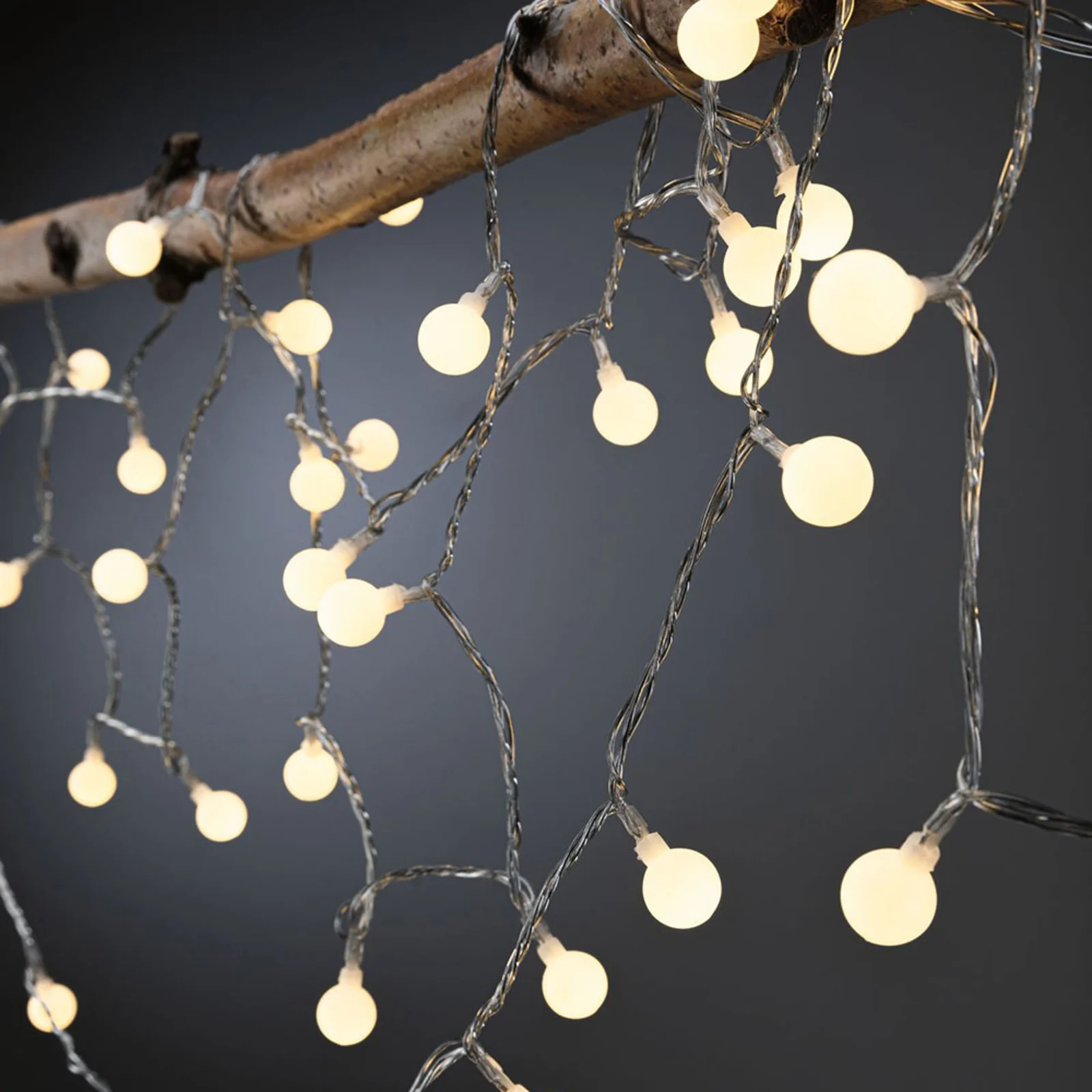 Paulmann Plug & Shine Cadena de luces Led mini — imagen 3