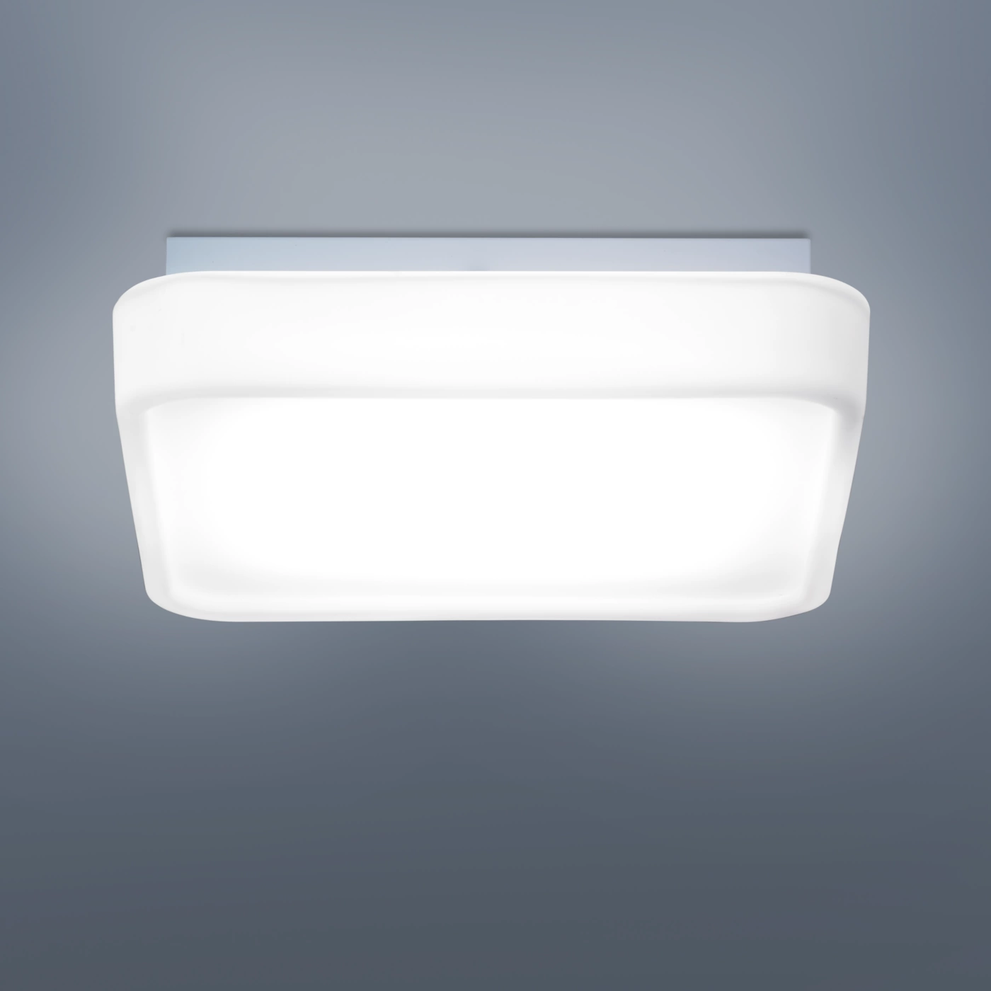 Peill+Putzler Domo, y pared Led – Lámpara de techo — imagen 5