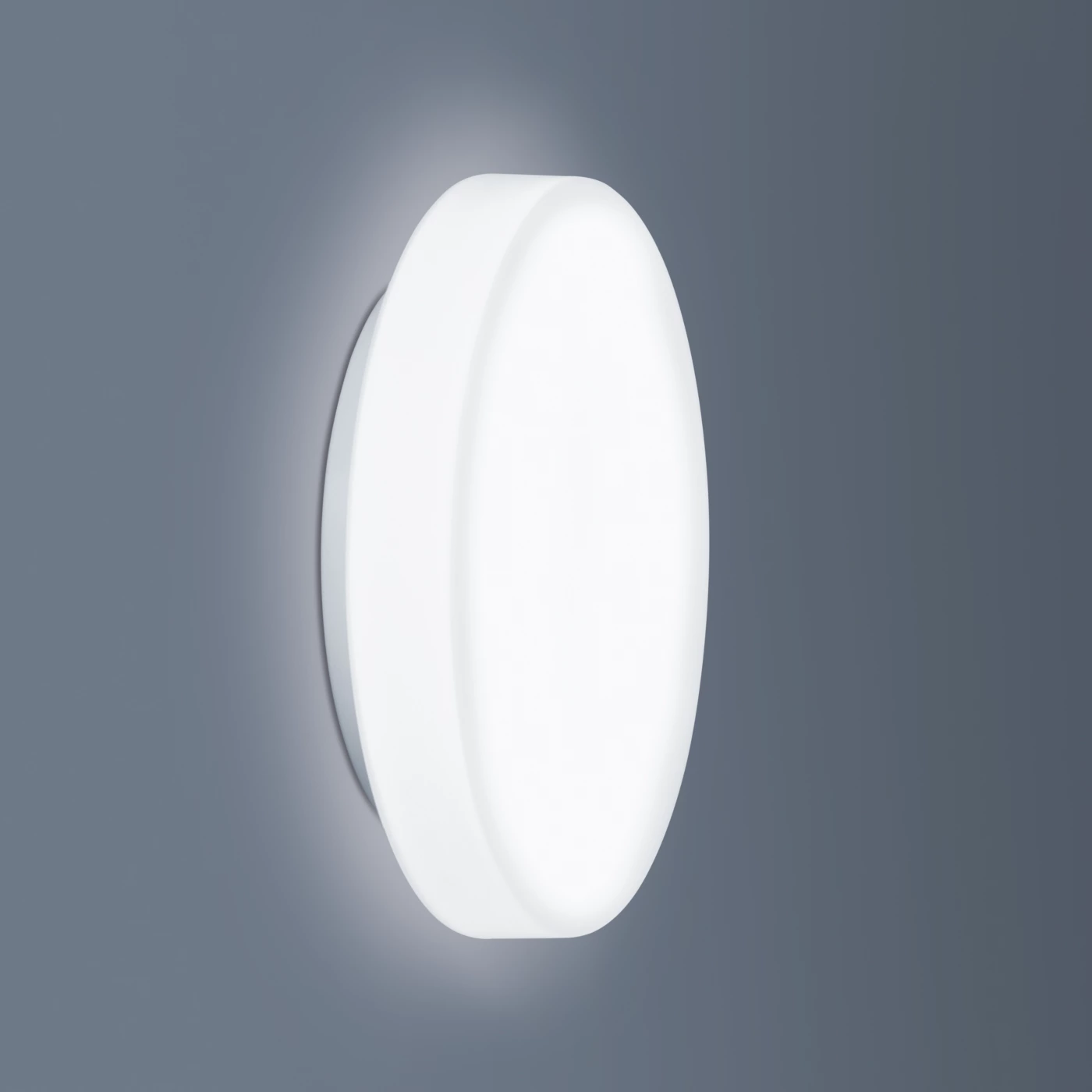Peill+Putzler Rasa, y pared Led ø31 cm – Lámpara de techo — imagen 4