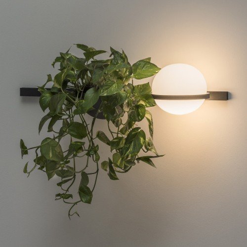 Vibia Palma 3702 – Aplique de pared — imagen 2
