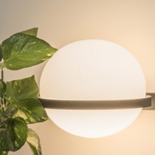 Vibia Palma 3702 – Aplique de pared — imagen 3